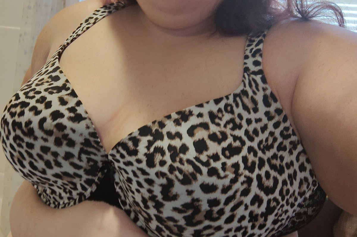 lexslee172's tweet photo. New bra what do u guys think https://t.co/SFYvYqWcbs