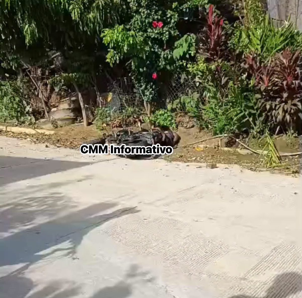 CMMInformativo's tweet photo. Asesinan este sábado con arma de fuego a un motociclista en Pinotepa Nacional Oaxaca https://t.co/qkW0Zgkbhi