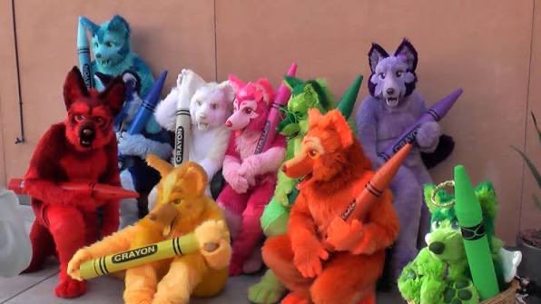 fritzraccoon's tweet photo. Literally where did all of them go https://t.co/wZBbKFUjKK