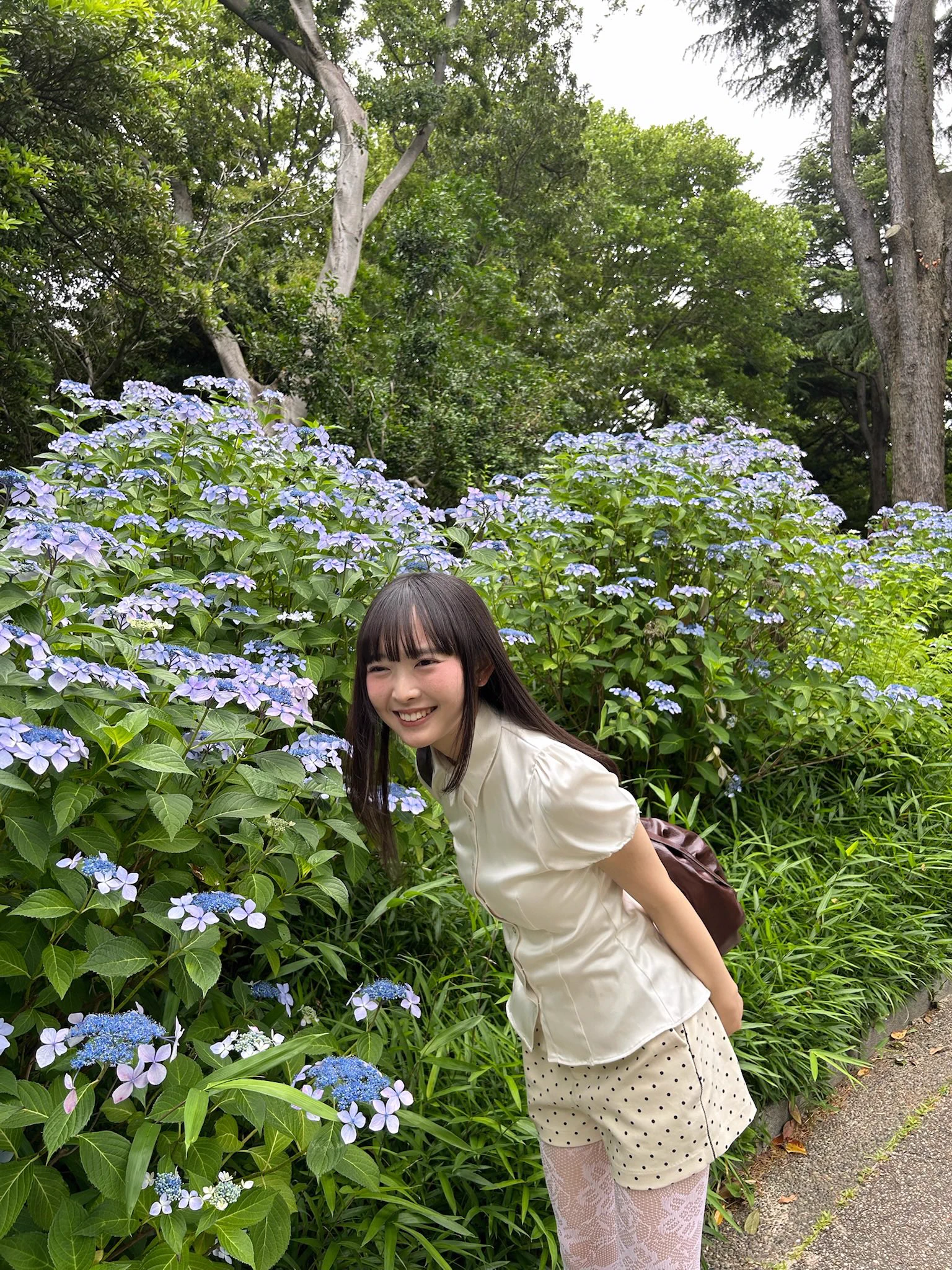 林春花 on X: 