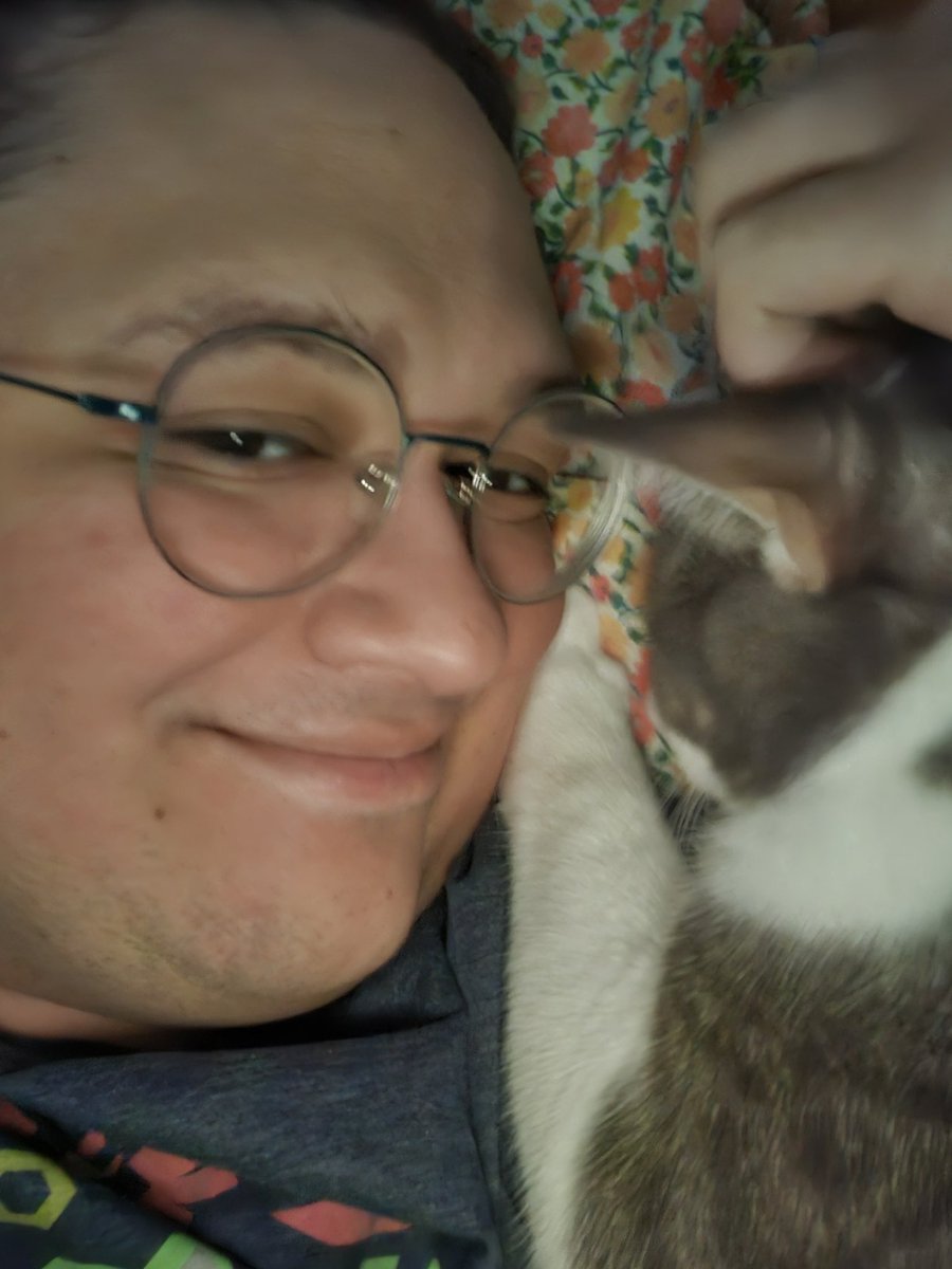 JaxtheMav's tweet photo. haven't posted here in a long time but our dear cat Tsukki has passed away today. I am gutted.

Good bye little man. One last Tsukki Saturday. https://t.co/nYm8VqkCnP
