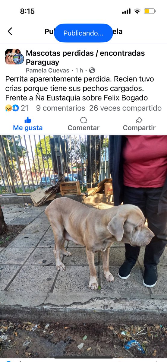ForcadoKaren's tweet photo. RT🙏🙏🙏🙏 https://t.co/reqOljR2De