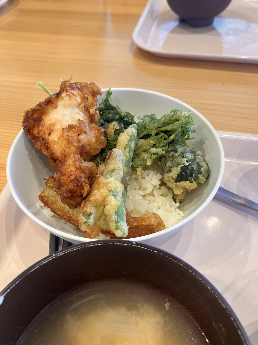 H_Sahara's tweet photo. パラローイング日本チーム6月強化合宿、海の森にて。

広々とした海の森を独り占め。好きな時間にやりたいメニューをカタマラン付きで。

ボランティアさんと自炊する食事は超充実。

気付いたら世界一の練習環境を持つチームになってました。 https://t.co/pWFU1KI4Kk