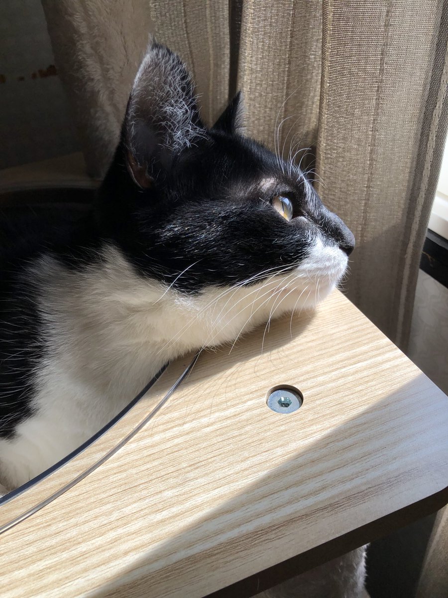 eikochiko25's tweet photo. おはようございます https://t.co/yGHbmRPvQa