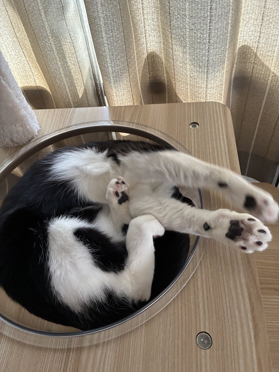 eikochiko25's tweet photo. おはようございます https://t.co/yGHbmRPvQa