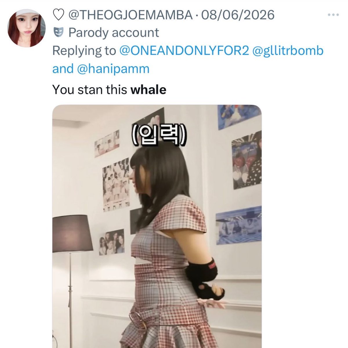 kimberleyhehe's tweet photo. Gllits knowing they cant admit their fav has an ED because theyve been fat shaming Hanni for 2 years straight https://t.co/FyGN1aKo8n