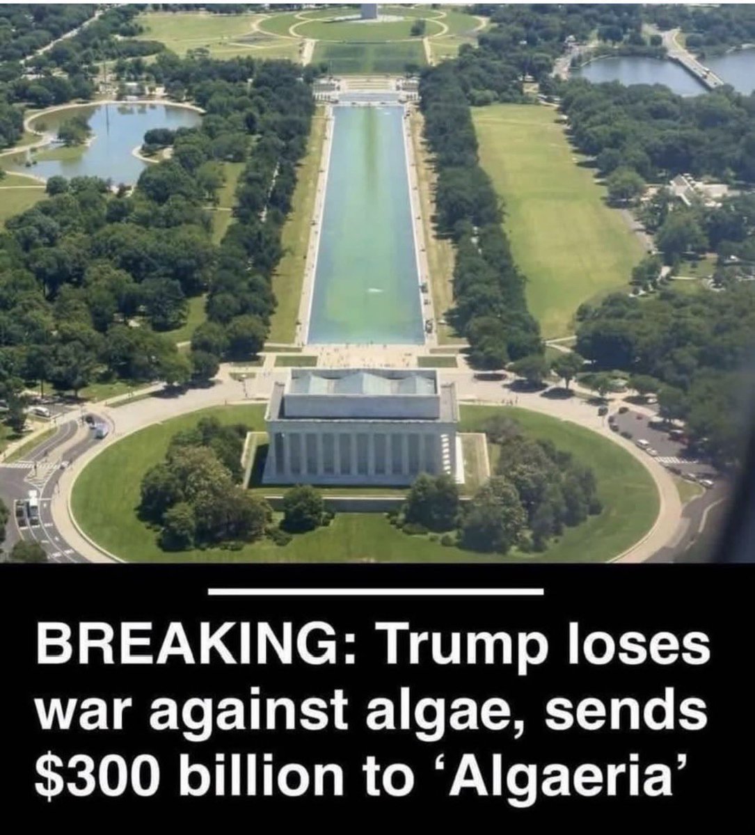 real_steelee's tweet photo. @ScottJenningsKY STOP BLAMING DEMOCRATS FOR TRUMP’S FUCK UPS.

YOU JUST LOOK LIKE A  FUCKING IDIOT. https://t.co/367KjFR4Xl