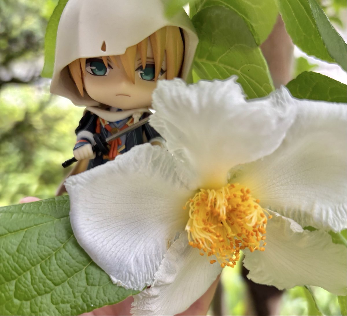 kairin（かいりん） tweet media