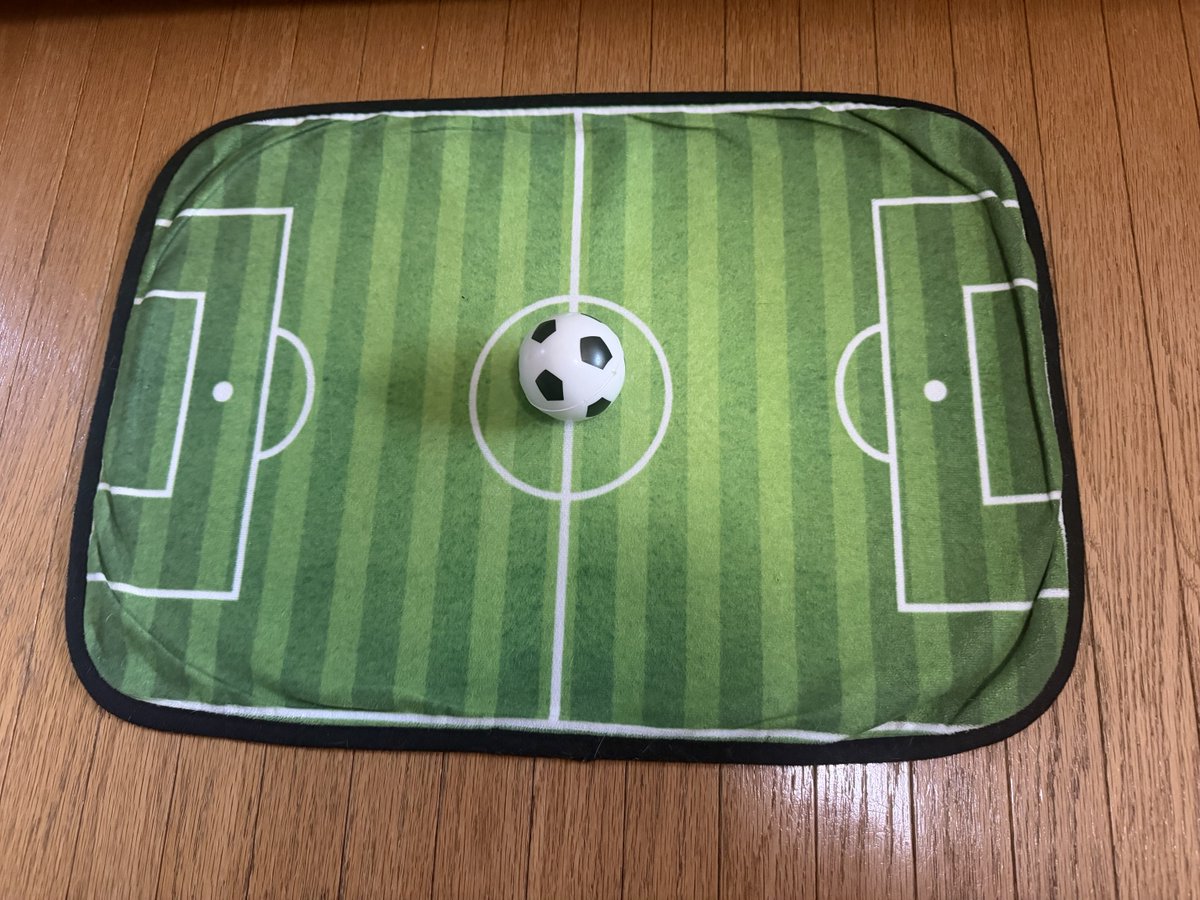 ecochandy's tweet photo. こんにちにゃん⚽️ 今日の猫風景 ⚽️ FIFA WORLD CUP 2026 日本🆚チュニジア 猫様達はお昼寝しながら応援💤
頭で、足で、ゴールを狙え、正しい、枠の中に…
#photocat #fifaworldcup2026 https://t.co/nNJZlRVeYC