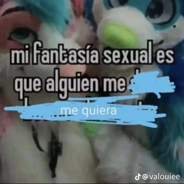 nadie tweet media