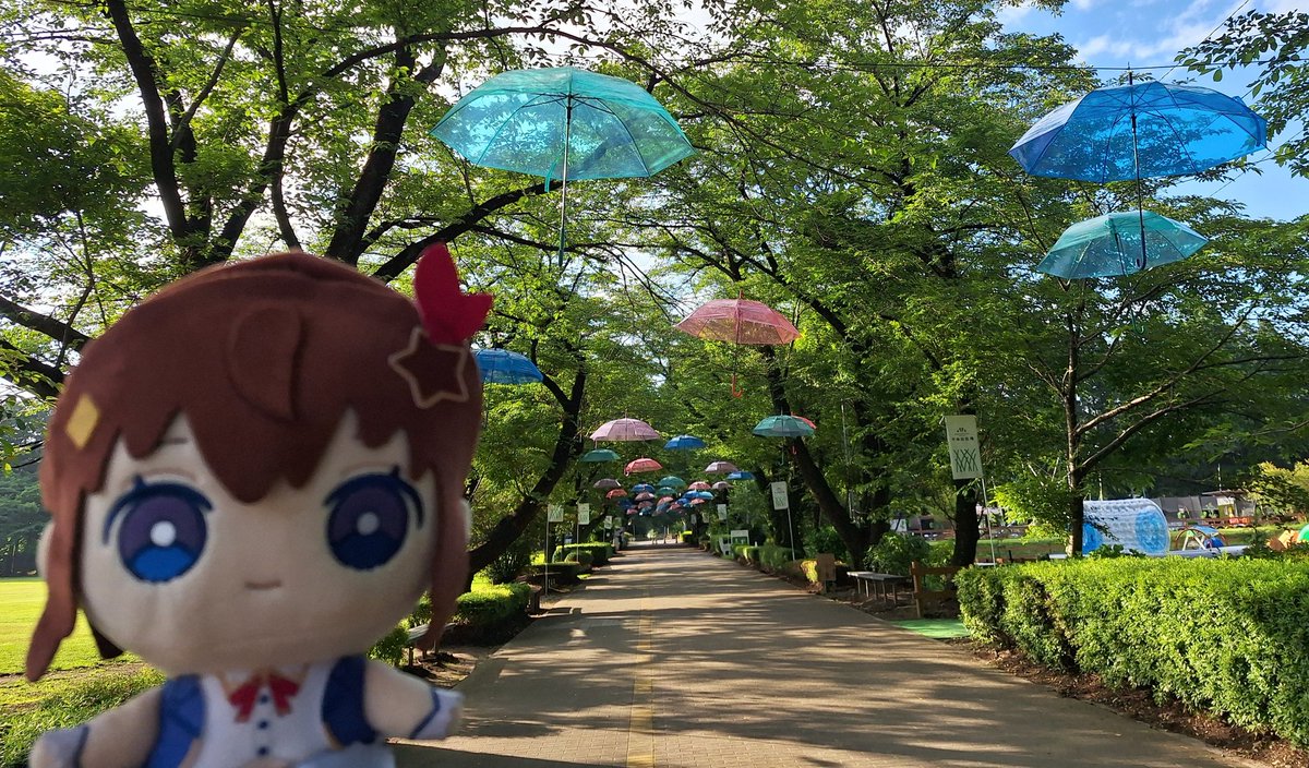 kotourasan41's tweet photo. #ときのそらと一緒

#ぬいそらちゃん

ぬいそらちゃんと散歩に出かけると傘がイベントごとみたいに飾られるところが多い！

まさに！／(๑╹ᆺ╹)＼傘賛歌！ https://t.co/TBX3SNwfC2
