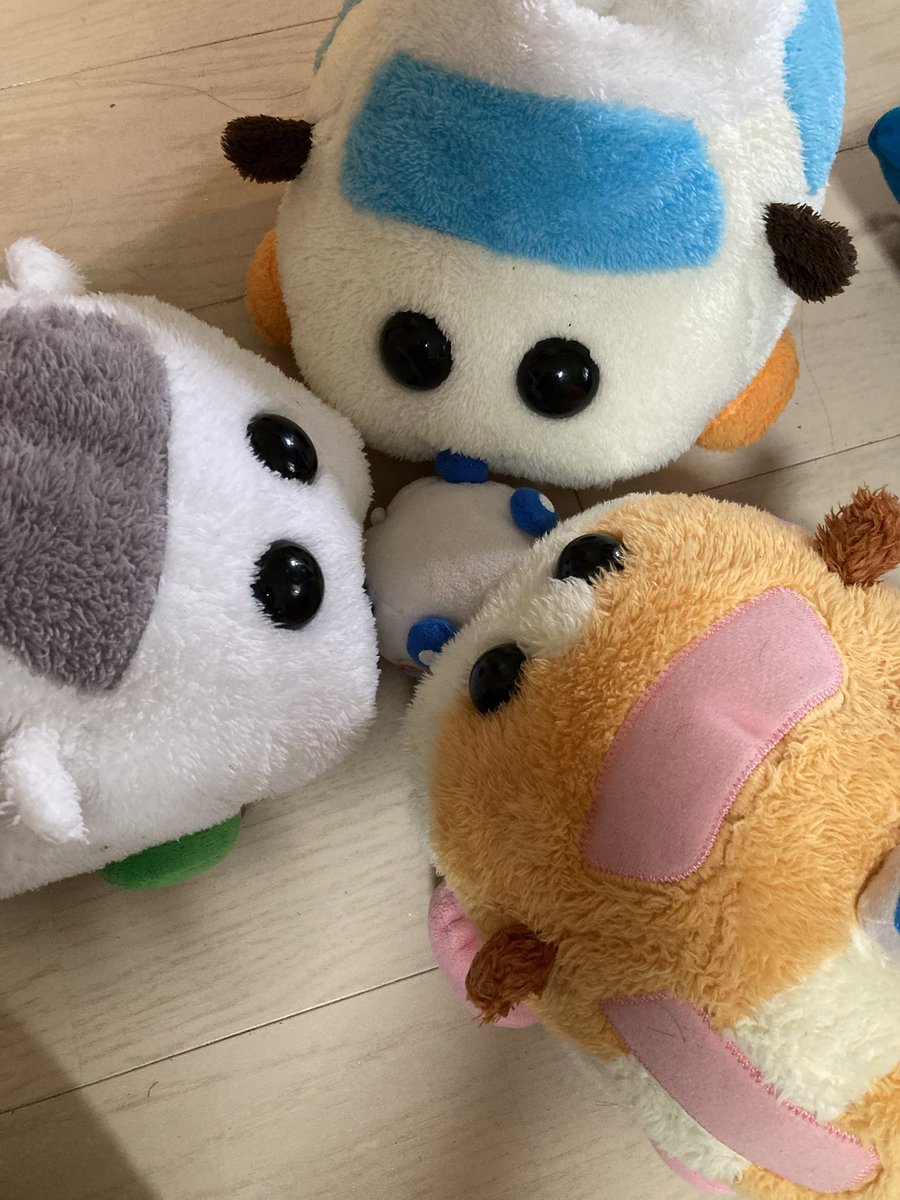 puipui_channel's tweet photo. ボールだと思ったら… https://t.co/53RAJsiJvW