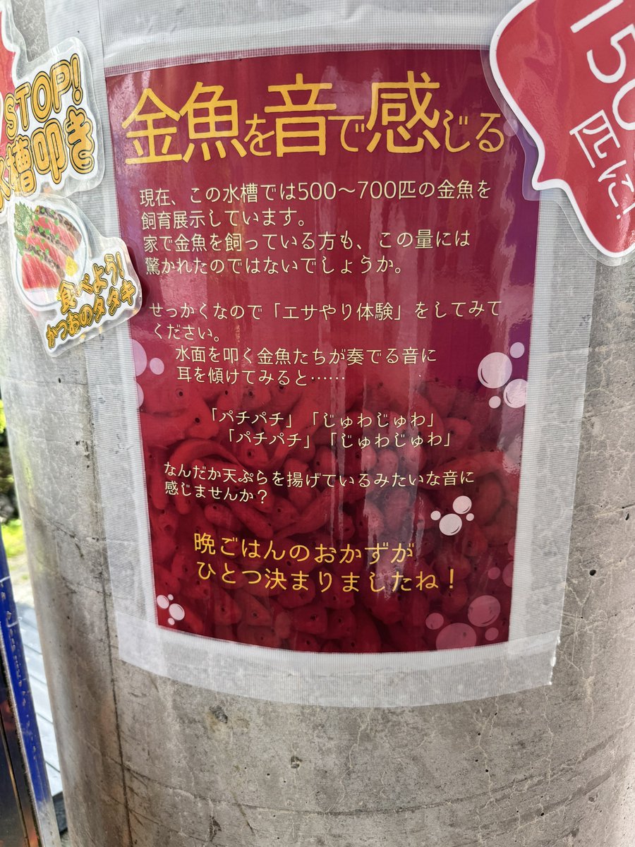 guchi0928's tweet photo. 晩御飯のおかずが一つ決まりましたね！

何言うてんねん🥹 https://t.co/AJxoFUQgGD