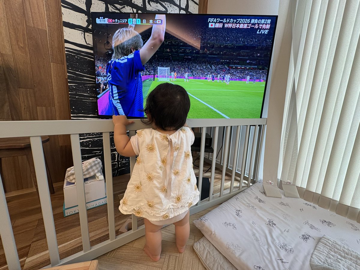 convoy_opt's tweet photo. 娘も応援しちょる‼️
 #FIFAワールドカップ https://t.co/MpcQB4ZEMw