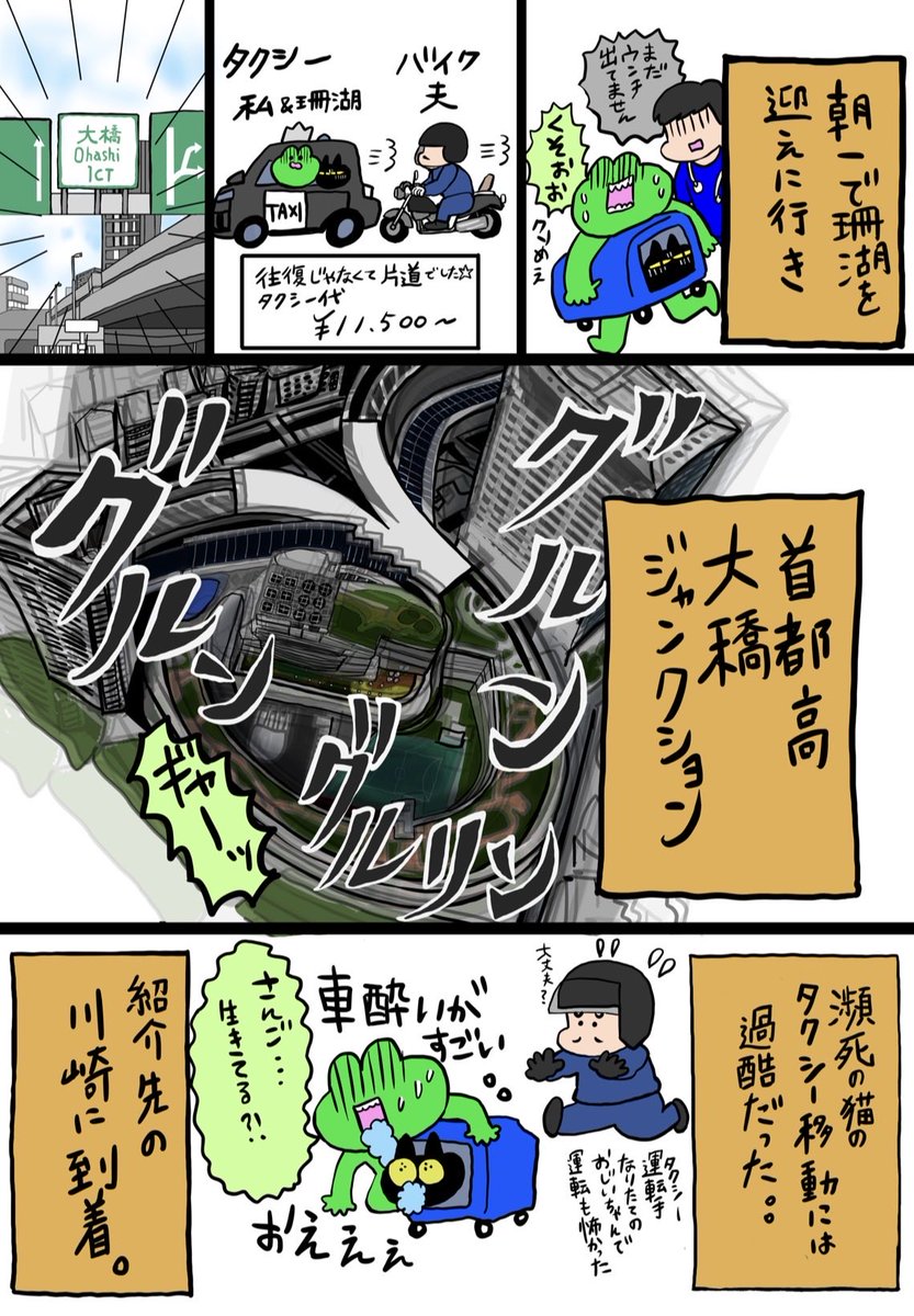 epuron_no_kae's tweet photo. 飼い主達と珊瑚の闘病日記②
1/2
#猫漫画 https://t.co/CtNna1KDBm