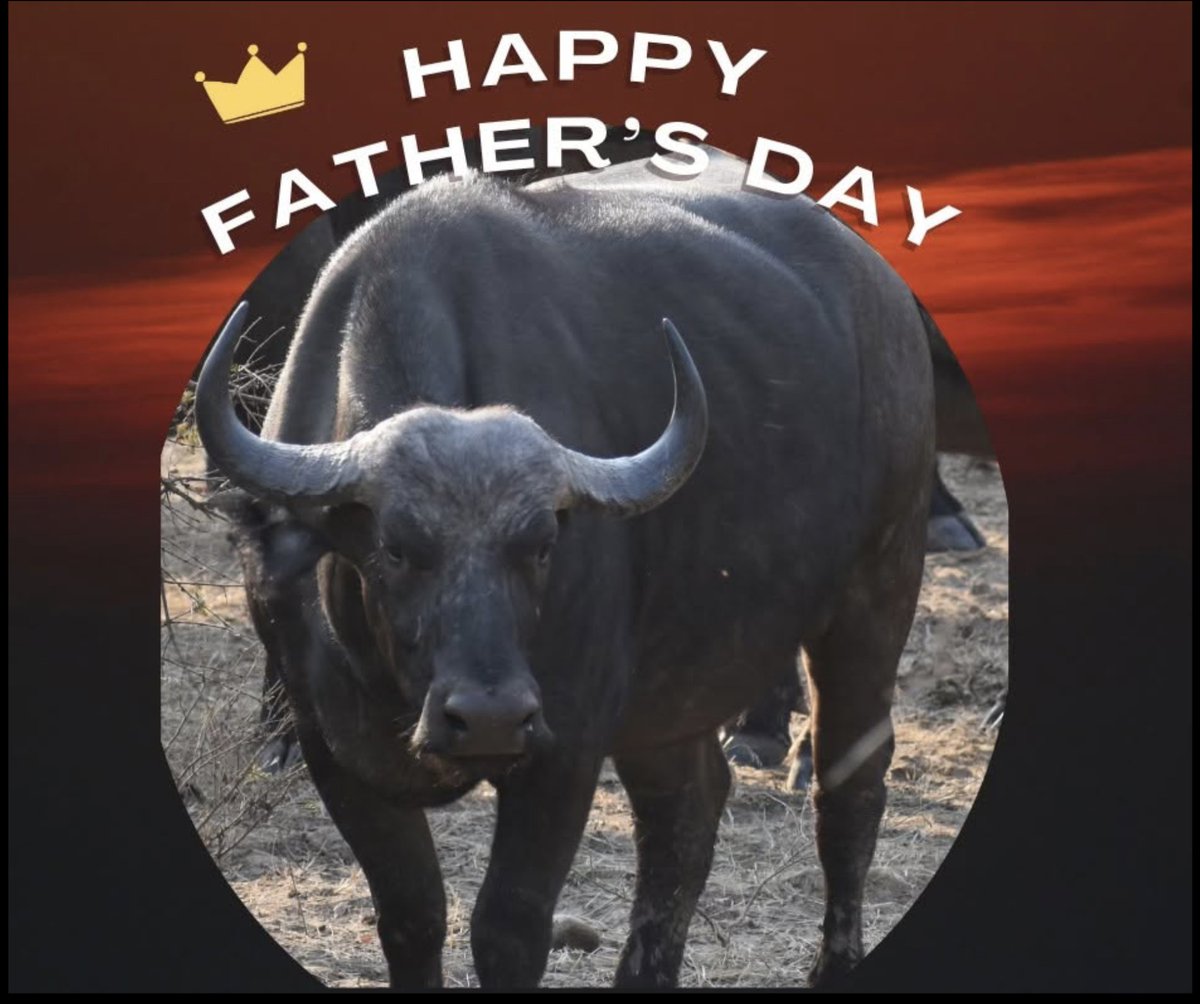 Livingstone_LTA's tweet photo. 🌻父の日　おめでとう 🌻Happy Father's Day🌻
＃父の日 #happyfathersday https://t.co/StqxDMyZbq