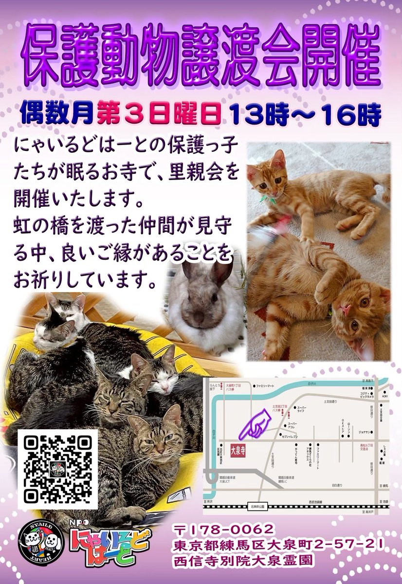 NPO48681819's tweet photo. 📣保護動物譲渡会
本日6/21(日) 13:00〜16:00
📍大泉寺さま
東京都練馬区大泉町2-57-21

虹の橋に旅立った🌈にゃいるどっ子達に見守られながら開催されます✨
素敵なご縁がありますように…🙏🍀

#にゃいるどはーと #保護猫 #譲渡会 #里親募集 #ずっとのおうち #大泉寺 #練馬区 https://t.co/O7YLKl65zG