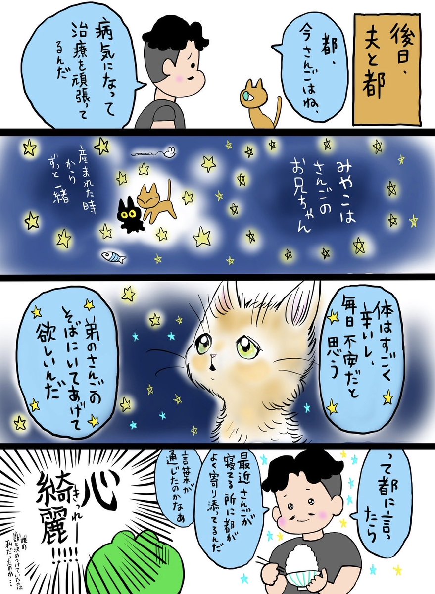 epuron_no_kae's tweet photo. 飼い主と珊瑚の闘病日記②
2/2 https://t.co/Wfka4j9vz2