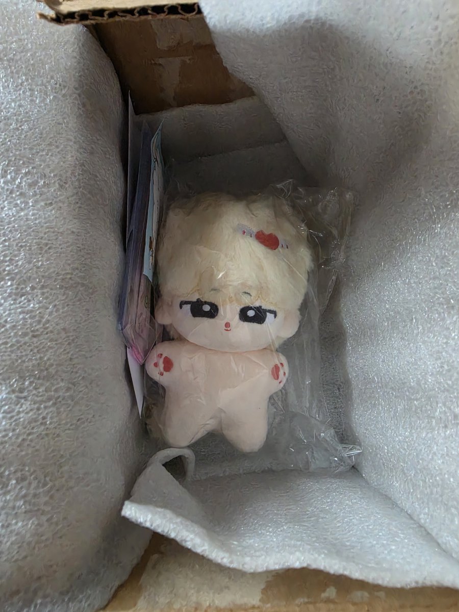 notcxli's tweet photo. mi primer doll ha llegado https://t.co/IUG30wyJUb