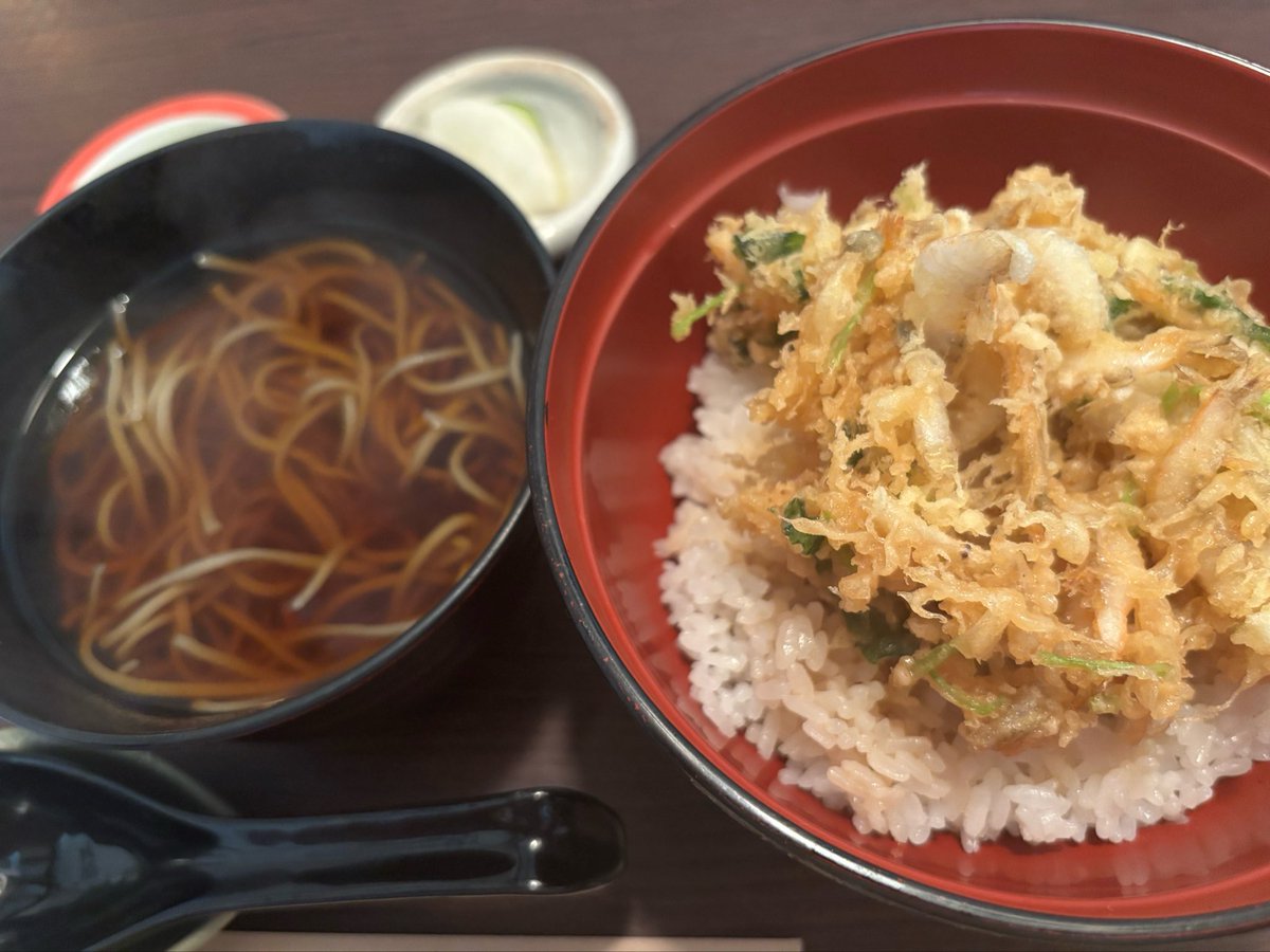 YuukaVoice95's tweet photo. お久しぶりです!!
近況報告という名の飯テロ失礼します🍤
つい最近、母と祖母とお蕎麦やさんに行ってきました✨
かき揚げ丼も美味しかった〜😋 https://t.co/qFMkEntwLH