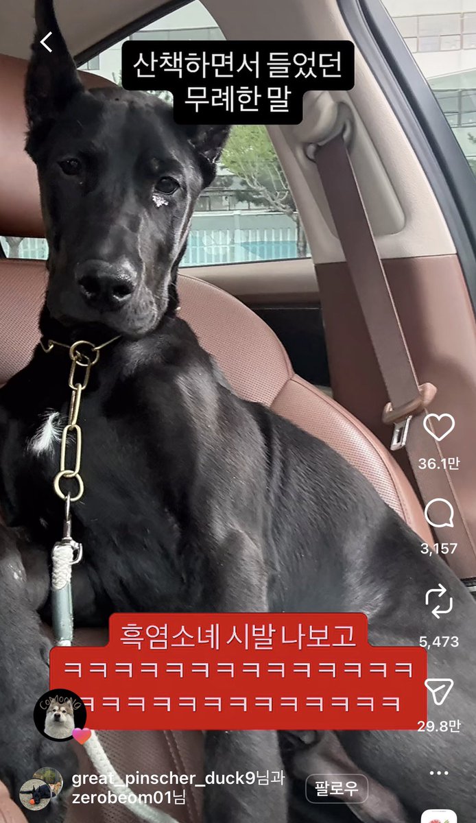 fujdalaqnk's tweet photo. 아 https://t.co/Hygpwcgd8O