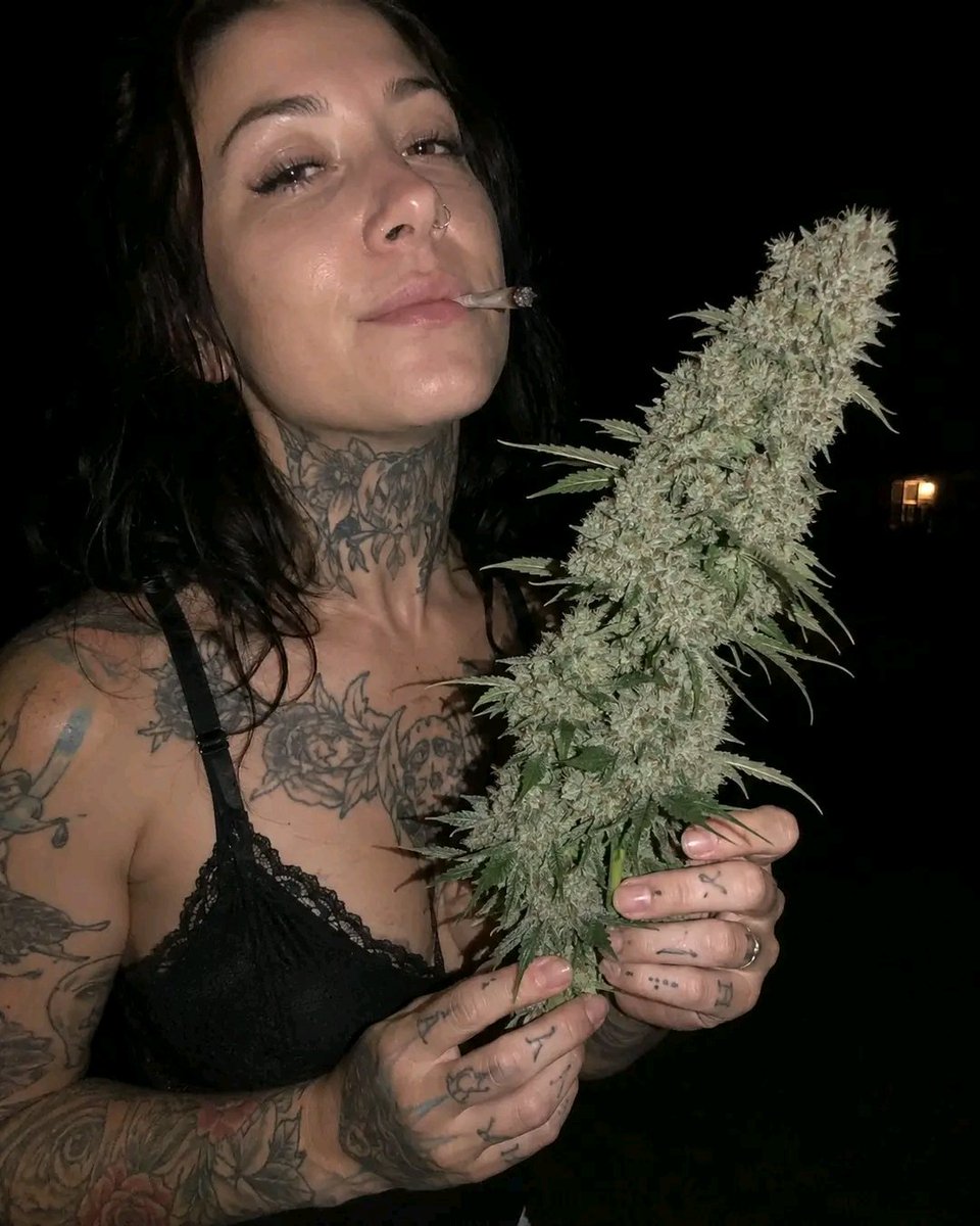 smkystallion's tweet photo. Forget roses… this is the kind of snowy bouquet your girl really wants on a Saturday night 🌿❄️ https://t.co/nNKNNaElKi