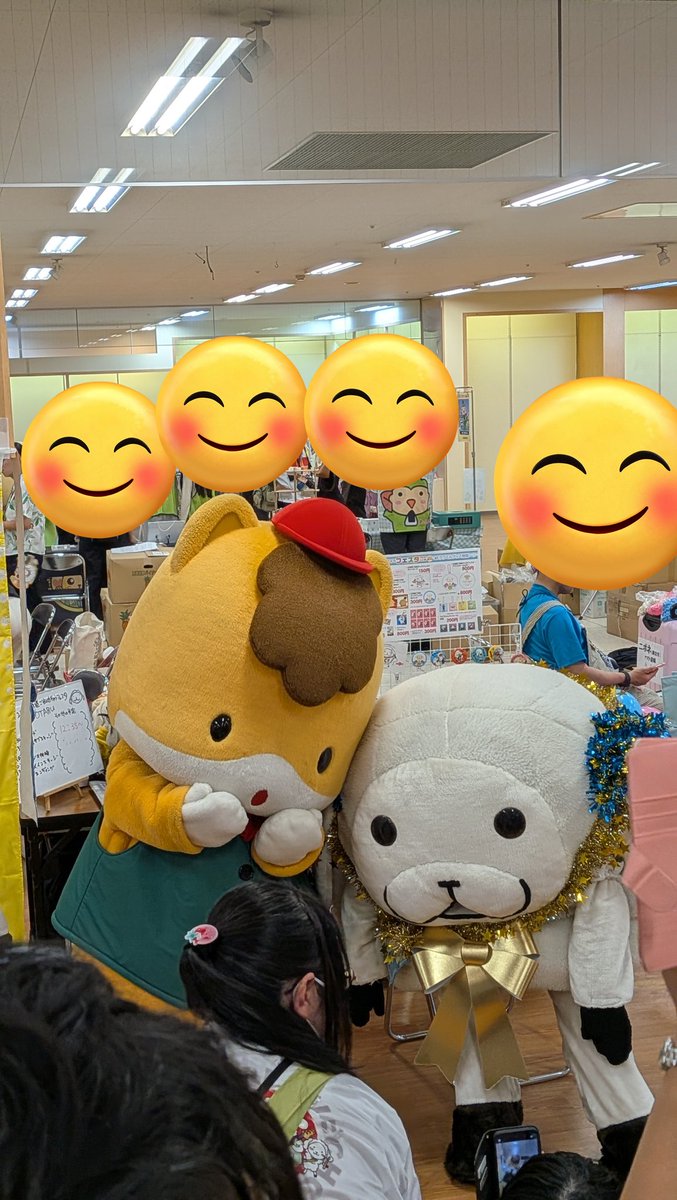 プリン tweet media