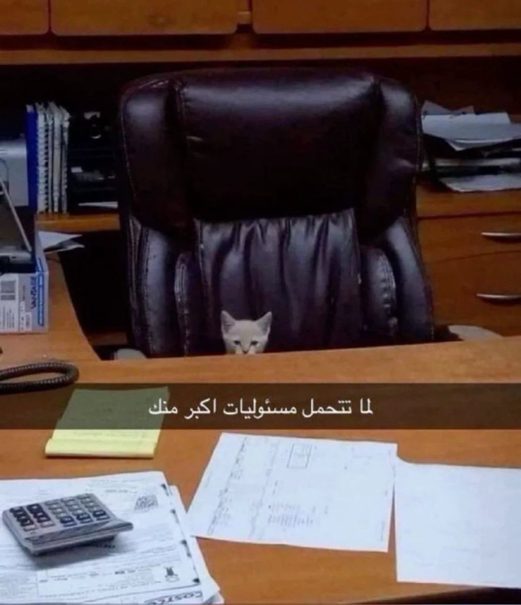 _iuzk's tweet photo. اهلي مخليني اخطط على كل شي: https://t.co/fAuKbIVI7E