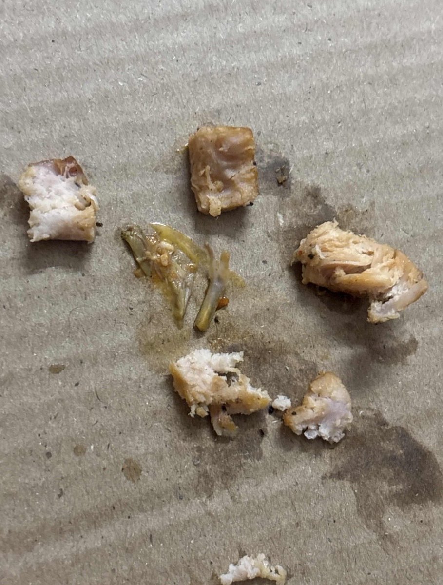 onehilldunk's tweet photo. Hi swiggy my order id is #240962677098886 
And ive had a bone type of solid pieces in my pizza?!? Almost broke my tooth off when the bite caught me off guard and your support team said “we wont do anything in the ticket” https://t.co/ZB2f6IDFqa