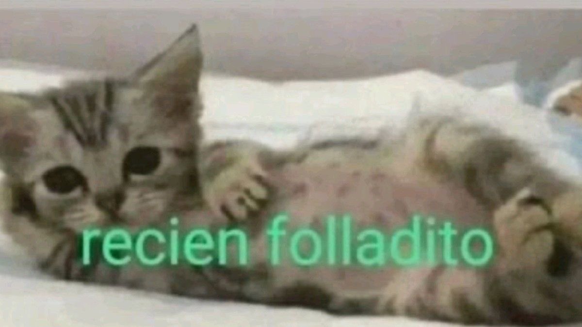 maybedannn's tweet photo. 🫦 https://t.co/Ci3v8ktTEb