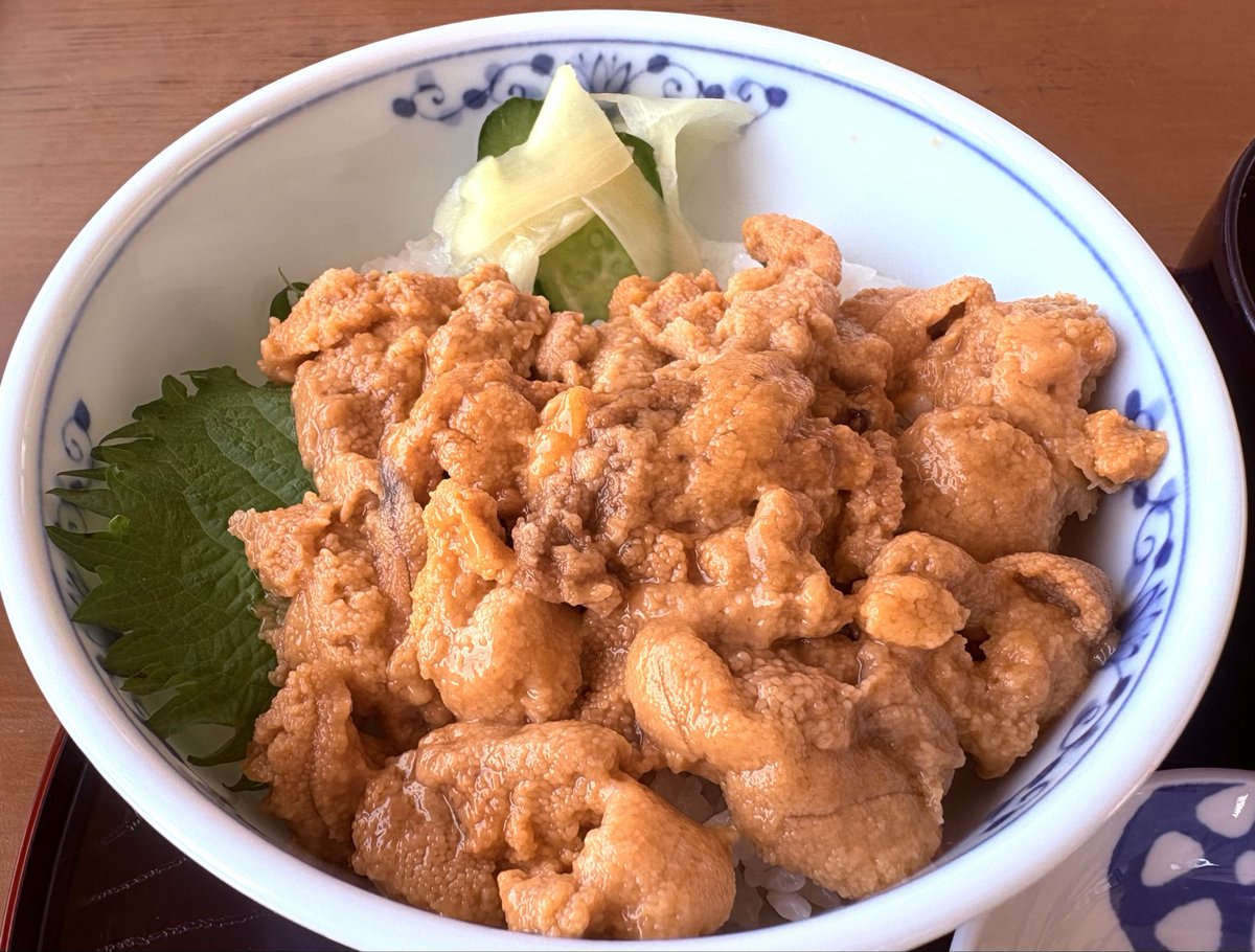 yukinemakiss's tweet photo. @mica10932 ステキなうに〜✹(ᯅ̈ )✹😆😆😆
コチラは浅虫で❗️ https://t.co/TE8EX5awU9