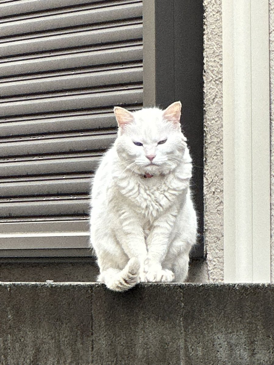 askadq10's tweet photo. 目つき悪すぎて草 https://t.co/xp0XNHKHi1