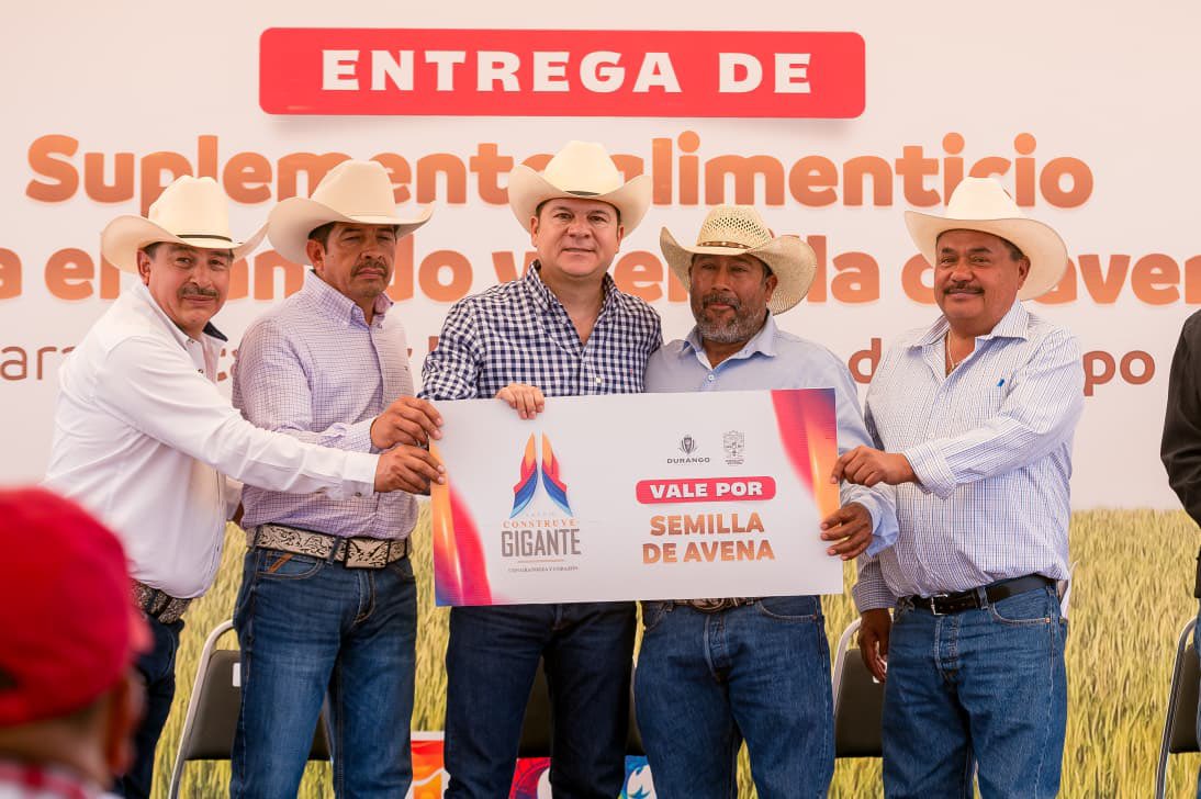 EVillegasV's tweet photo. 🌾🤝 Uno de los compromisos que venimos a cumplir en Guadalupe Victoria es la entrega de 150 toneladas de semilla de avena y 120 toneladas de maíz molido para fortalecer la producción del campo y la ganadería. 🚜🐄

✅ Cada productor recibirá semilla suficiente para sembrar cuatro hectáreas de avena, lo que permitirá incrementar la producción y obtener mejores resultados en sus cosechas. 🌱🌾

🤝 El trabajo coordinado con el presidente municipal Carmelo Fernández sigue dando resultados y se refleja en cada apoyo entregado. Hoy las familias productoras cuentan con más herramientas para sembrar, cosechar más y asegurar alimento para su ganado. 🌽🐄
