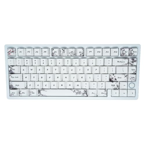 New release [Amazon [via Amazon Japan], $212.67, 06/16/26