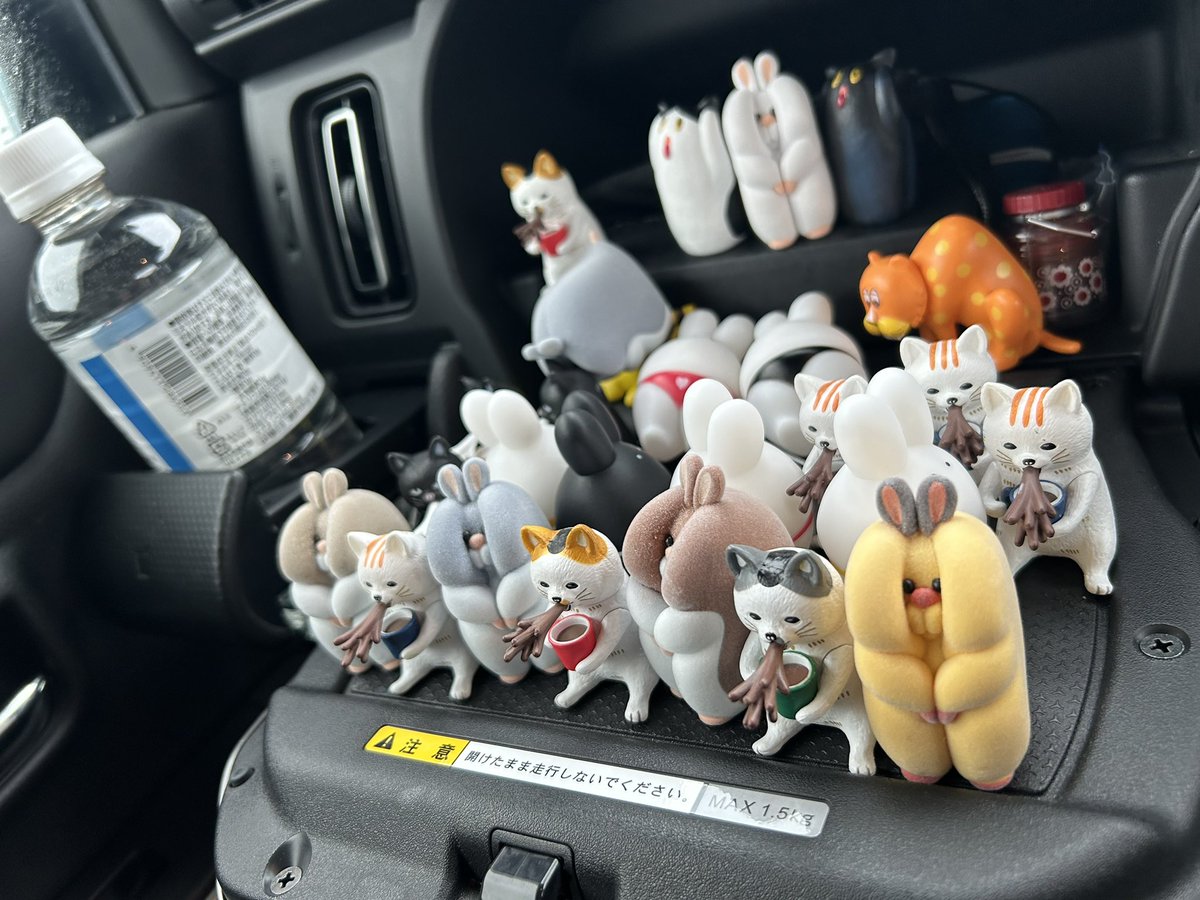 mno_chimo's tweet photo. 恋人を助手席に乗せると毎回と言って良いほど帰りまで待ちきれずに車内でお披露目会が開催されるので、心の底から愛おしいなと思うし、毎回私の運転で振り落とされるのでそろそろ学習して欲しいところでもある。 https://t.co/2VDlfqoqdN