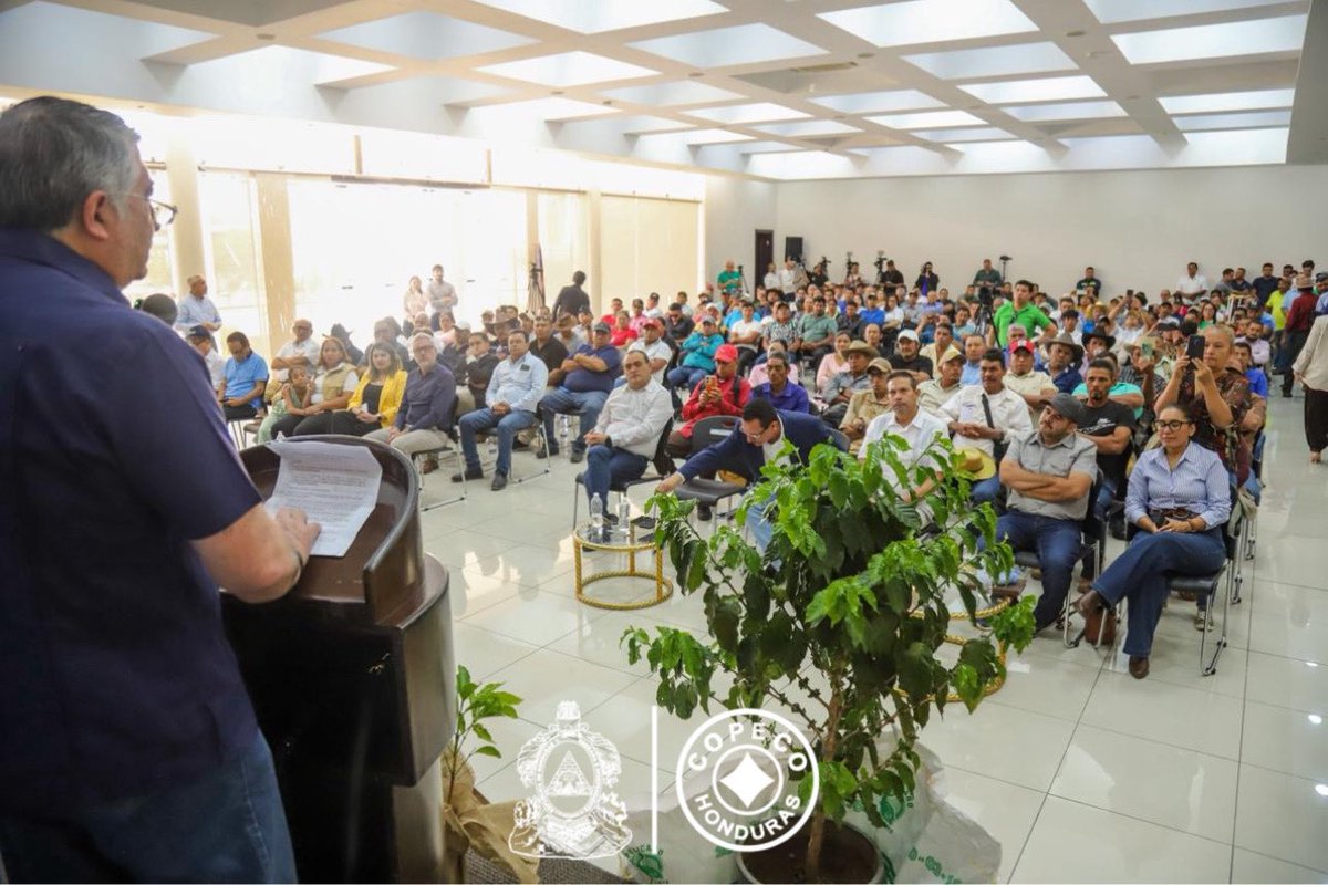 copecogob's tweet photo. Gobierno del presidente Asfura entrega más de 10 mil 600 quintales de fertilizante a productores de café

_*-Con una inversión de 300 millones de lempiras se busca impulsar la competitividad del sector ante el cambio climático y la normativa europea de no deforestación*

La Secretaría de Agricultura y Ganadería (SAG), con el respaldo del Instituto Hondureño del Café (Ihcafé), inició la entrega de más de 10 mil 600 quintales de fertilizante en el departamento de Francisco Morazán.

De esta forma, marcando el inicio de un proceso logístico que beneficiará al 94% de los productores registrados (87 mil 990 familias) en todo el país.

El viceministro de Café y Cultura de la SAG, Francisco Ordóñez, detalló que la primera fase se concentra en Francisco Morazán con tres mil 313 productores beneficiados. 

Asimismo, el programa cubre productores con una producción entre uno y 200 quintales oro por cosecha, priorizando a los pequeños y medianos que históricamente enfrentan dificultades para financiar insumos.

*Inversión estatal para enfrentar el cambio climático* 

Por su parte, el ministro de la Presidencia, Juan Carlos García, subrayó que el café representa entre 3% y 5% del PIB nacional y hasta 30% del PIB agrícola, generando más de dos mil 50 millones de dólares en divisas con 6.45 millones de sacos exportados.

García enfatizó que el incentivo de 350 millones de lempiras para el sector café (y más de mil  millones para otros sectores agrícolas) es crucial para enfrentar la sequía en el corredor seco.

Además, de cumplir con la normativa EUDR de la Unión Europea que exige no deforestación, requisito para más del 50% de las exportaciones.

Se avanzará en cosechas de agua, perforación de pozos y ampliación de embalses como el de Nacaome para irrigar seis mil  hectáreas.

*El café como motor económico y aliado ambiental*

El presidente del Ihcafé, Pedro Mendoza, destacó que el programa fortalece lo que antes era el “Bono Cafetalero” y llega a 210 municipios y más de tres mil 400 aldeas.

Mendoza afirmó que “donde hay café no hay incendios; cuidamos los bosques y fuentes de agua”. 

El café diferenciado ya representa el 52% de las exportaciones, con precios superiores al mercado convencional. 

Por su parte, los productores de café agradecieron al presidente Asfura por escuchar las necesidades del campo y garantizar que el apoyo llegue con precisión a quienes más lo necesitan. 

* 🇭🇳🇭🇳🇭🇳🇭🇳🇭🇳
Oficina de Prensa Casa Presidencial
@titoasfura @ReinaldoHN