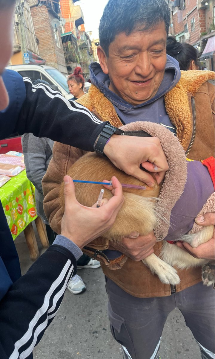 Maro_L's tweet photo. El sábado pasado @jorgemacri nos decomisó hasta los abriguitos que vendemos en una feria que hacemos en un local privado en Caballito. Hoy fuimos al barrio a vacunar, desparasitar y rescatamos tres. La plata que juntábamos en la feria era para esto. https://t.co/A5lXwGA0RE