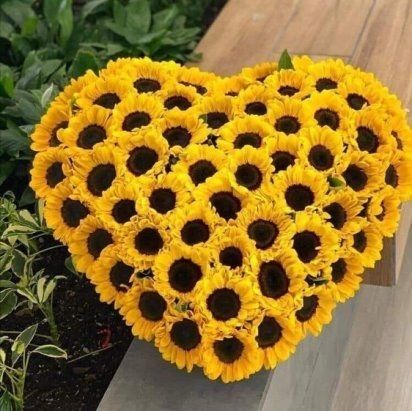 softpetalview's tweet photo. Can you guess how many flowers in this heart? https://t.co/E9vGMT28In