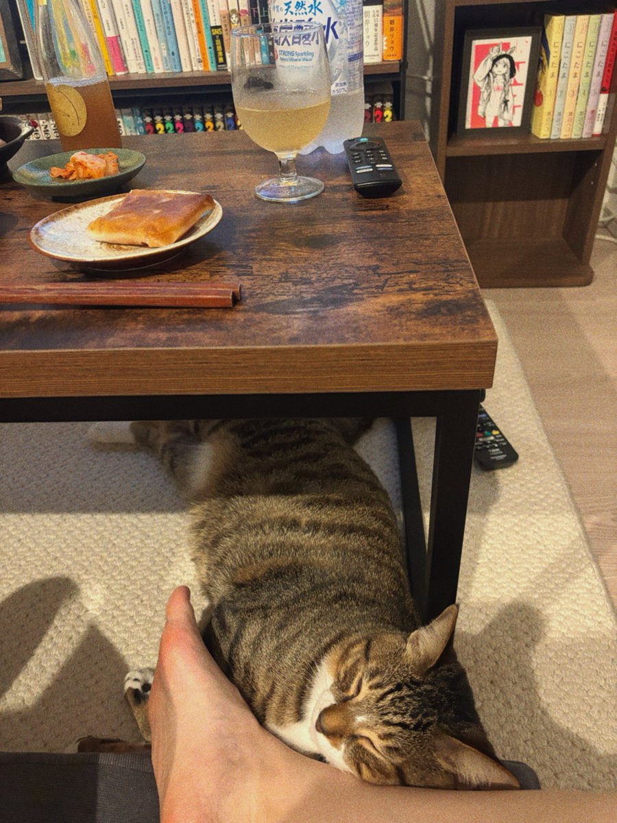 nobugara's tweet photo. 甘々のぶちゃん https://t.co/9ivN4T6Zhe