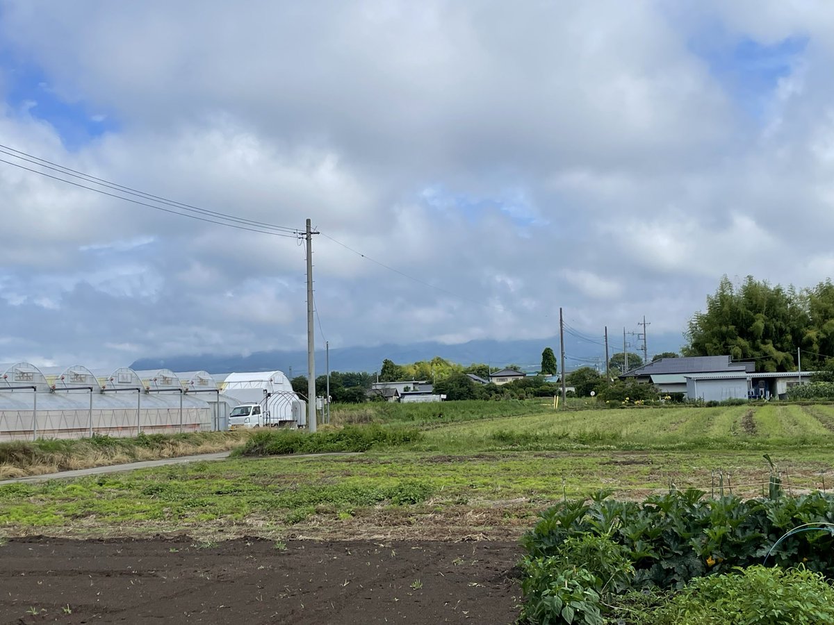skyriverAMA's tweet photo. おそようございます♪
本日は曇り☁️ 気温は蒸し暑です
朝から、畑の草取りや蕪の収穫で
遅くなってしまいました
思ったよりも草が生えていたので
処理に苦戦して遅くなってしまった

赤城山⛰️さんは、雲☁️に覆われて
長い裾野の半分から下の部分しか
見えていません https://t.co/6SdlIXzHOS
