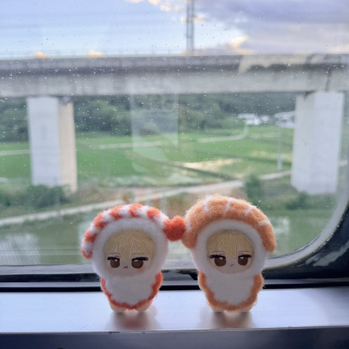 rr5341's tweet photo. 기차에 스시형제 🍣🍣

#밥뭉댕
#얌뭉댕 https://t.co/9PAm6GnWZU
