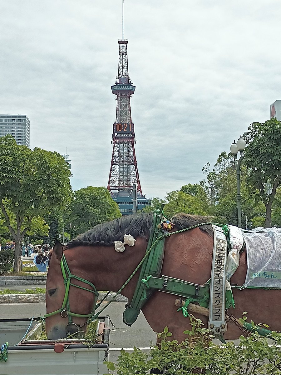 QP_chyan's tweet photo. さっぽろだな https://t.co/BWJ82UPQoe
