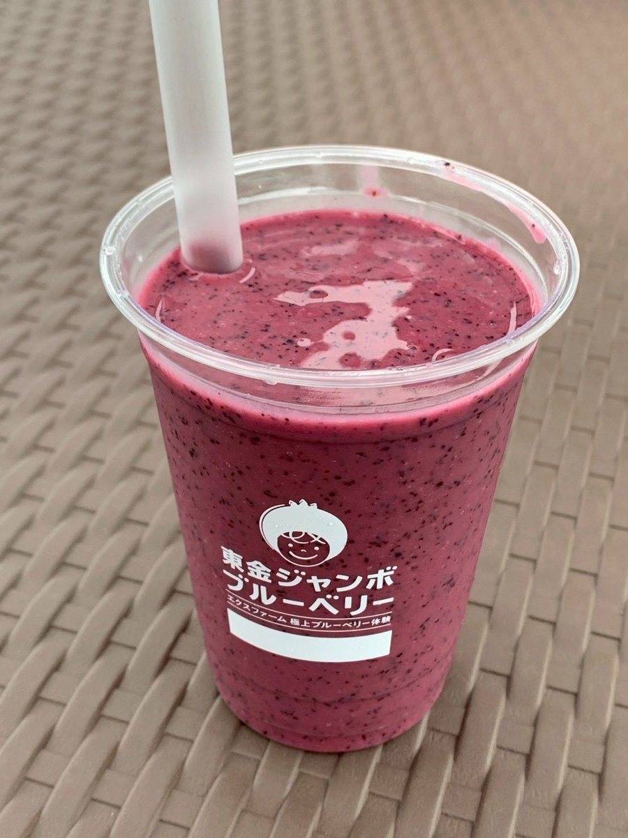 sono9desu's tweet photo. ブルーベリー狩り行ってきました！ https://t.co/tcCJjkVPj2