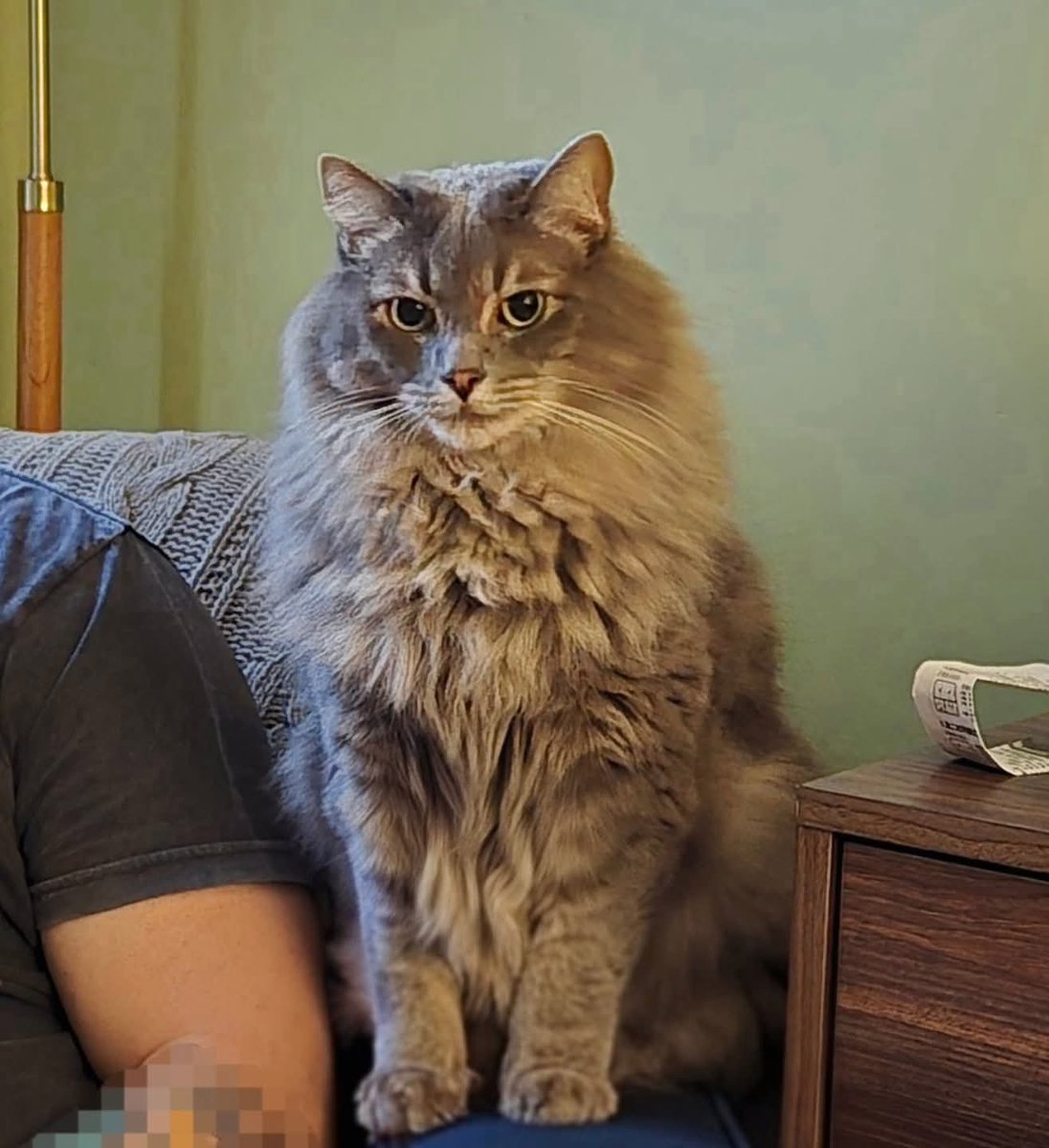 britt_bier's tweet photo. No one sits alone on OPie's watch.
#OPLiveKitty #OPLive #OPNation #OPLiveNation #REELZonPeacock https://t.co/yDKyRRr7Bl