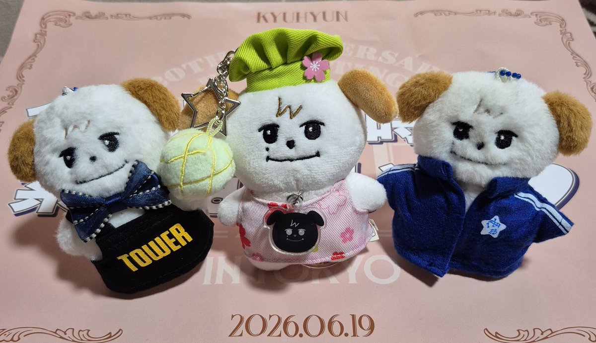 vitamingyu23's tweet photo. ぎゅペンミで会っていただいた皆様～ソンムル届けてくださった皆様～ありがとうございました🫶
とっても嬉しかったです❣️ご飯御一緒したぎゅぺんず🐧キュヒョンさんを語り😍ギュメポップアップもほぼ同時間で缶バッジ交換までしてもろた🙌ｺﾏｵ  ギュメ三兄弟になる～🤗 2日間幸せでした🫶 https://t.co/WrBQUQIIX4