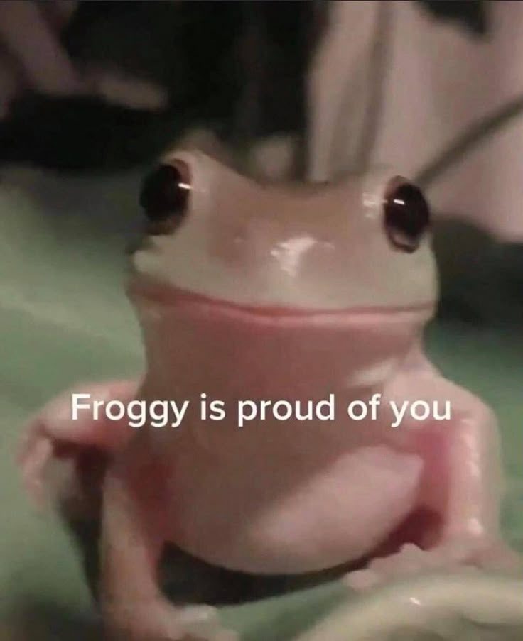 nocontextfrogs's tweet photo. https://t.co/zDEbdMuJ3A