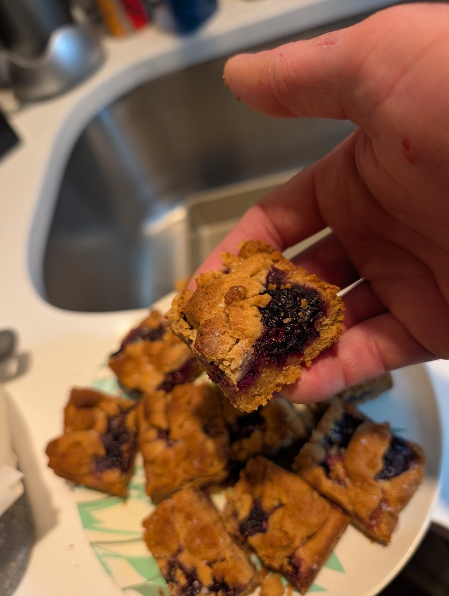 100_chefs's tweet photo. Peanut Butter Berry Bars :) https://t.co/cI9pldoBRW