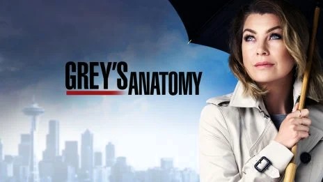 Pervertidosnge1's tweet photo. - Nombre de la Serie: Grey's Anatomy
- Plataforma: Disney+
- Temporadas: 22

- Para más Información: https://t.co/3yVBZVzpWr https://t.co/tJu4xva5v8