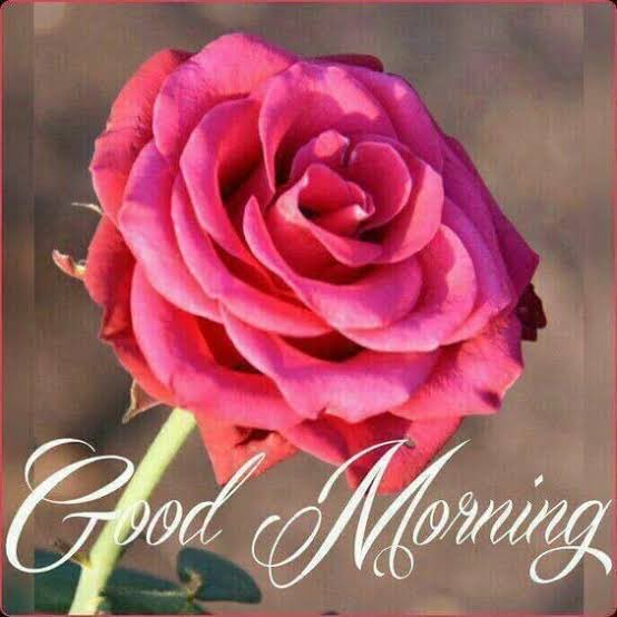 PM_Narendhar's tweet photo. 🕉️ Shirdi SaiBaba Says 🕉️ DO NOT IGNORE: Look at my face. I am  looking straight at you in a completely relaxed mood because I Have  already solved the problem you are panicking about #SaiBaba #goodmorningsunday #Happy Baba's Day https://t.co/0aCVLXl1NY