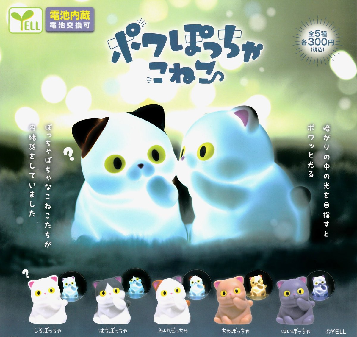 🆕6/21(日)本日入荷情報②🌈 ⚪️ハイキュー!!アニマルぬいぐるみ
